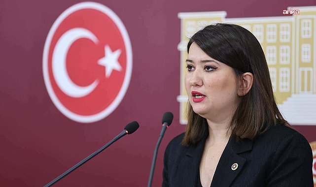 CHP kurultaylarının iptali istemi reddedildi... Gökçe Gökçen: