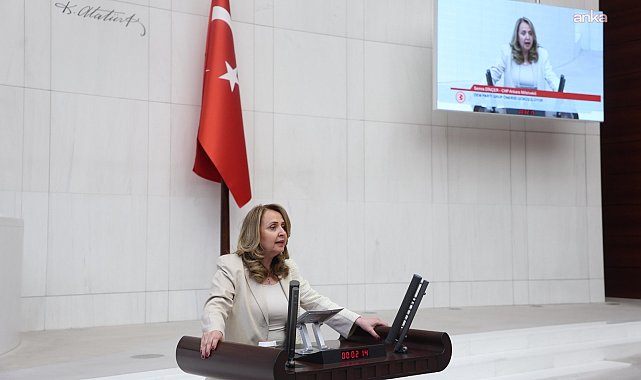 CHP'li Dinçer: “Diyanet’in bütçesi üç bakanlığın toplamını aştı