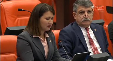 CHP'li Gökçen: Akademisyen Aslı Aydemir derhal serbest bırakılmalı, asıl saldırganlar yargılanmalıdır