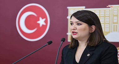 CHP'li Gökçen: 