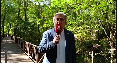 CHP Samsun Milletvekili Çan'dan “kokarca toplama” projesine tepki: “Bilimle mücadele edeceğimize çocukları kullanıyoruz”