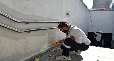 Çiğli’de ağaçlar budanıyor