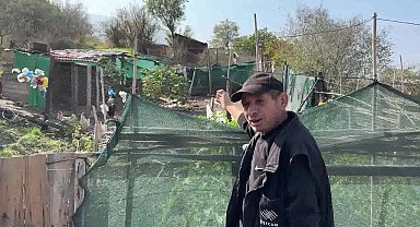 CİMER'e şikayette bulunan kişi