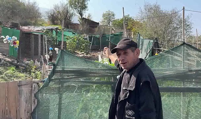 CİMER'e şikayette bulunan kişi