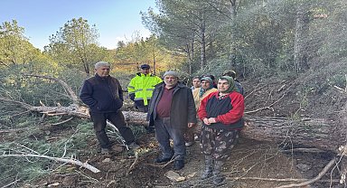 Danıştay, onlarca ağacın kesildiği İzmir'deki Belevi-Tire yolunun yapımıyla ilgili açılan davada yürütmeyi durdurdu