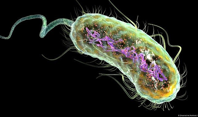 DSÖ'den antibiyotik alarmı: Direnç yüzde 40 arttı, 1.1 milyon ölüm