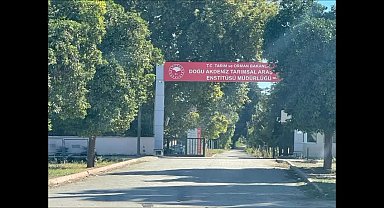 Emine Erdoğan'ın Onursal Başkanı olduğu 