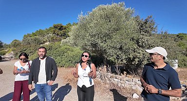 Erasmus öğrencileri, Bodrum Pedasa Antik Kenti’ni keşfetti