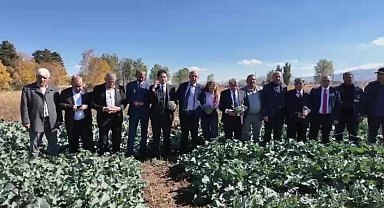 Erzurum’da tarımda yeni dönem: Bin 800 metre rakımda ikinci ürün brokoli yetiştirildi