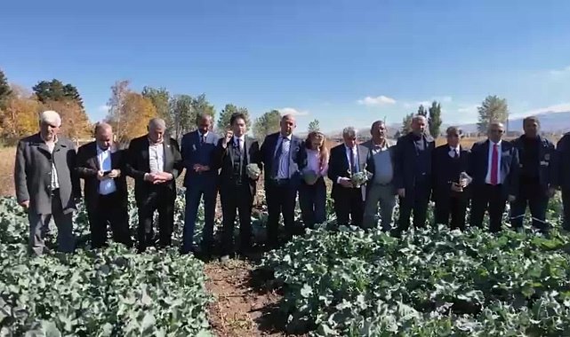 Erzurum’da tarımda yeni dönem: Bin 800 metre rakımda ikinci ürün brokoli yetiştirildi