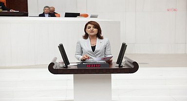 Gülcan Kış: 