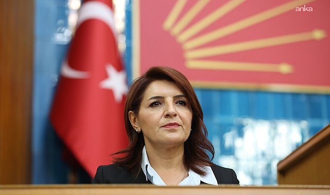 Gülcan Kış:
