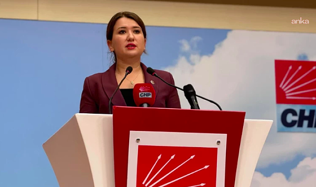 İstanbul'da casusluk suçlamasıyla soruşturma... Gökçe Gökçen: