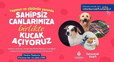 İstanbul Vakfı’ndan sahipsiz hayvanlar için dayanışma çağrısı