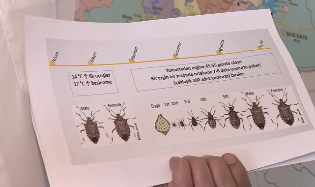 İYİ Partili Ulusoy: