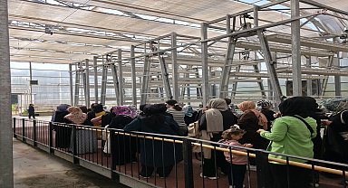 İZTAM’da kadın çiftçilerin günü