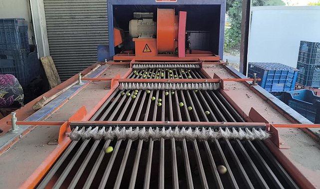 Kadirli Gıda Maddeleri Esnaf Odası Başkan Vekili Nacar: Düşük rekolte nedeniyle zeytinyağında sahtecilik arttı