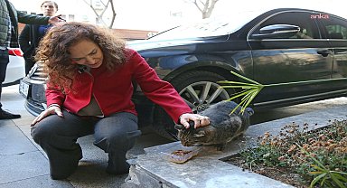 Karşıyaka’da can dostlar için 25 ton mama toplandı