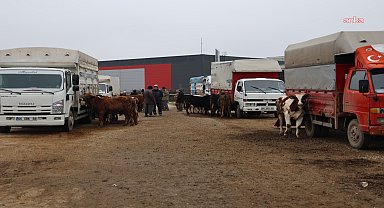 Kırıkkale Hayvan Pazarı, şap hastalığı nedeniyle geçici olarak kapatıldı