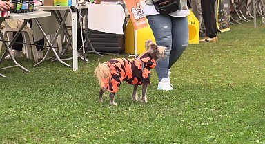 Konak Belediyesi, 6. Patilerin Festivali ile sahiplenmenin önemine dikkati çekti