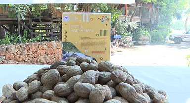 Konyaaltı’nda coğrafi işaret başvuru sürecindeki yöresel ürünler tanıtıldı