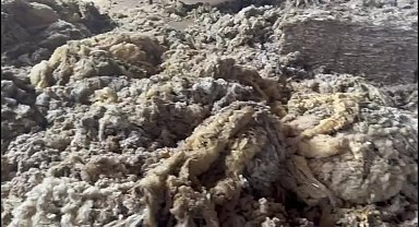 Malatya’da çöpe giden yünler ekonomiye kazandırılıyor: Üreticilerden toplanan yünler yorgan ve aleze dönüşüyor