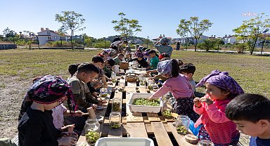 Manavgat'ta minik ellerden zeytin hasadı