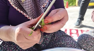 Mersin Büyükşehir Belediyesi'nden üreticilere ceviz soyma makinesi desteği