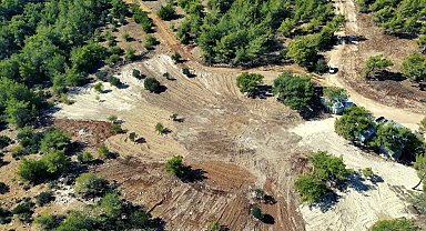 Mezitli Belediyesi’nden sokak hayvanları için 