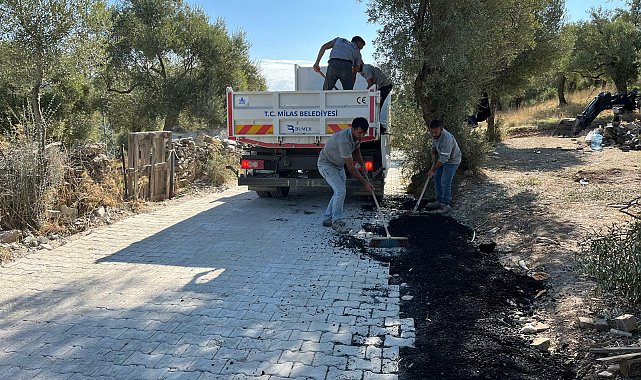 Milas Belediyesi’nden ilçe genelinde yoğun mesai