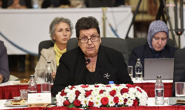 Milli Dayanışma Kardeşlik ve Demokrasi Komisyonu... Şenal Sarıhan: İnsanları cezaevine dolduruyorsak buradan barışı inşa etmek mümkün değil