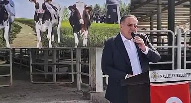 Nallıhan Belediyesi'nden çiftçilere gebe düve desteği... Başkan Güngör: 