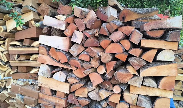 Odun alamayan Osmaniyeli vatandaş: