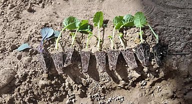 Okul bahçeleri üretim alanı oldu: Bornova’da minik eller toprakla buluştu