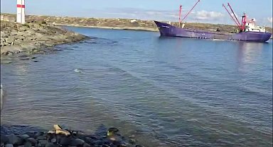 Rize’nin İyidere ilçesinde balıkçı barınağı girişinden izinsiz şekilde kum alınmasına balıkçılar tepki gösterdi