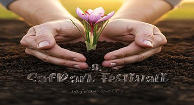 Safranbolu’da safran zamanı: 9'uncu Safran Festivali 17-19 Ekim’de başlıyor