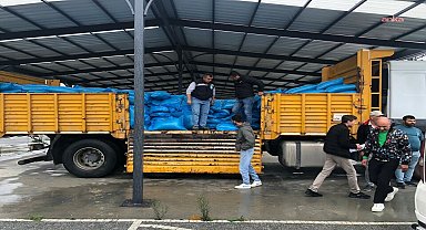 Silivri'de tritikale yemleri, vatandaşlara ulaştırılıyor