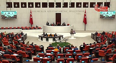 TBMM Genel Kurulu'nda Rojin Kabaiş'in şüpheli ölümünün araştırılması için verilen öneri AK Parti- MHP oylarıyla reddedildi