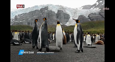 TELE 1 Televizyonuna kayyum atanmasına tepki... Gökan Zeybek: Anayasal güvenceye alınan gerçeği öğrenme hakkı bugün gasp edilmiştir 