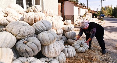 Tepebaşı’nda coğrafi işaretli Kızılinler bal kabağı görücüye çıkıyor