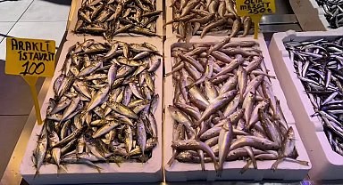 Trabzonlu balıkçı Onur Örseloğlu: 