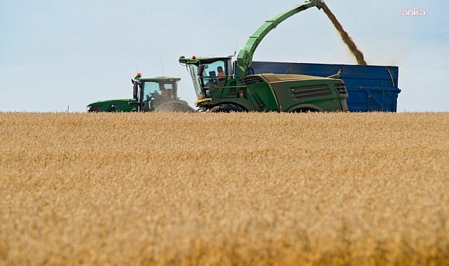 TÜİK: 2025 yılında bir önceki yıla göre tahıl ürünleri, meyve ve sebze üretim miktarlarının azalacağı tahmin edildi