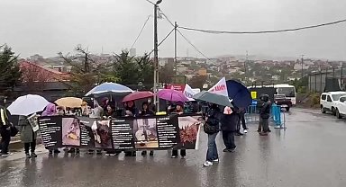 Ümraniye Hekimbaşı Barınağı önünde hayvan katliamına protesto