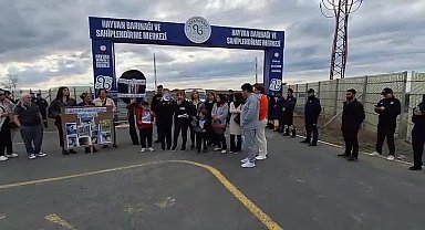 Yaşam Hakkı Savunucuları'ndan 4 Ekim açıklaması: Doğal yaşam alanları, doğal cehennem alanlarına dönüşüyor