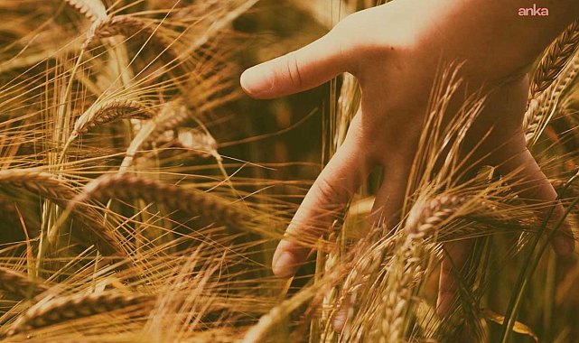 Yerli üretimle güçlenen sürdürülebilir gelecek