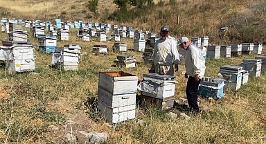 Yozgat'ta bal sezonu sona erdi: 