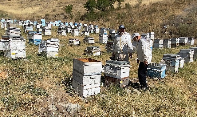 Yozgat'ta bal sezonu sona erdi: