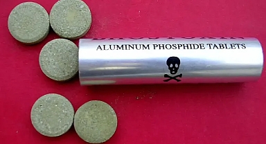 Alüminyum fosfit şüphesi büyüyor: Böcek ailesini öldüren gaz nedir?