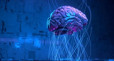 Beynin karar verme sürecini yöneten yeni nöron ağı keşfedildi