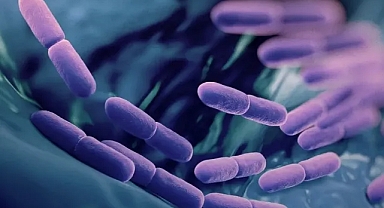 Bilim insanları çözdü: Çocuklarda alerjinin kökeni bağırsaklarda